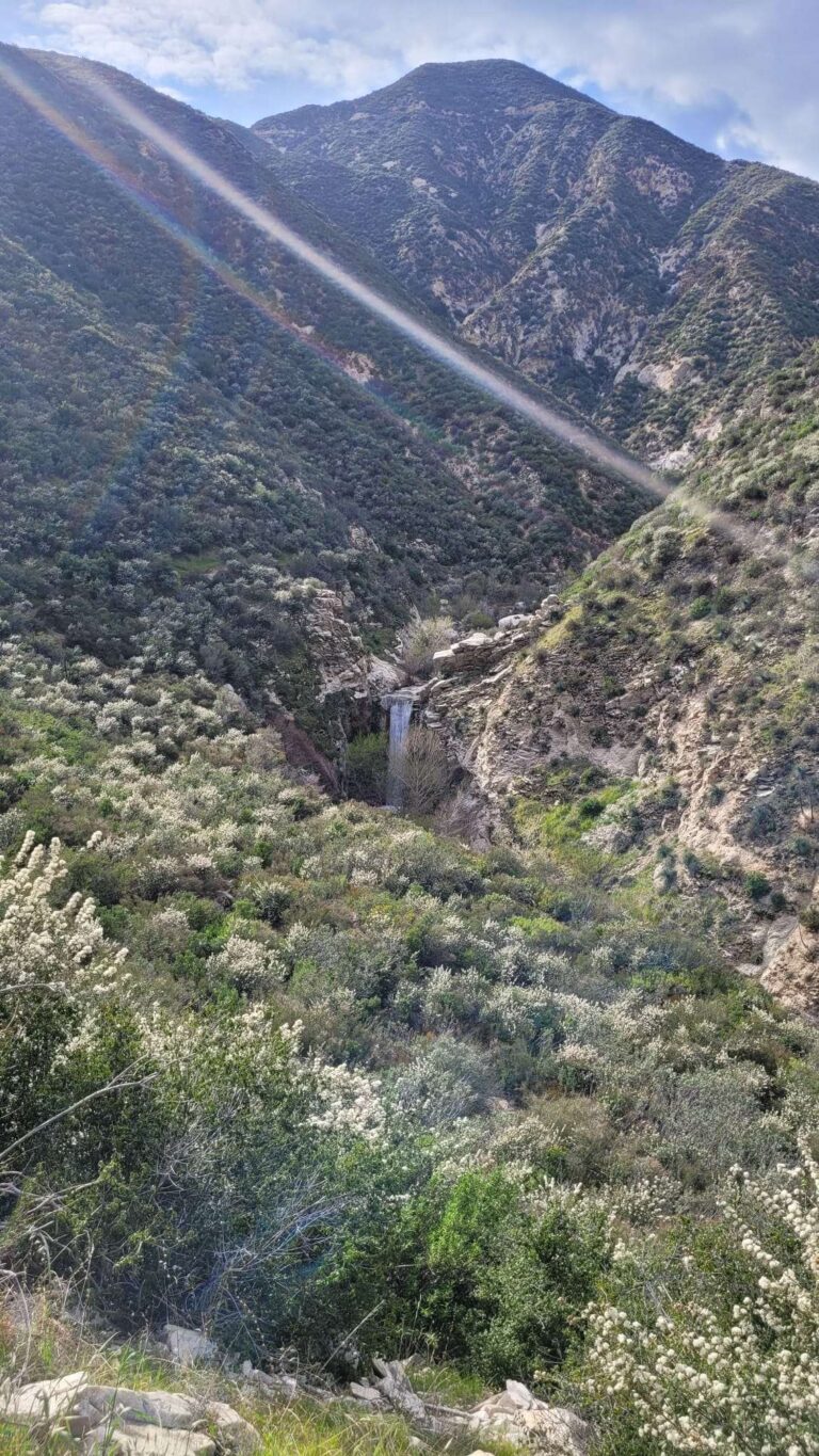 Angeles National Forest 40 7