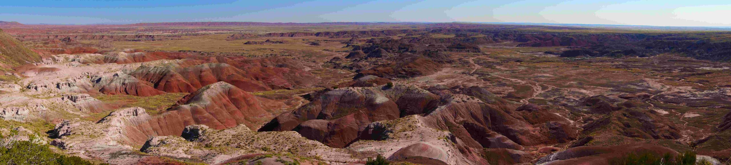 Petrified Forest National Park 15 7 scaled