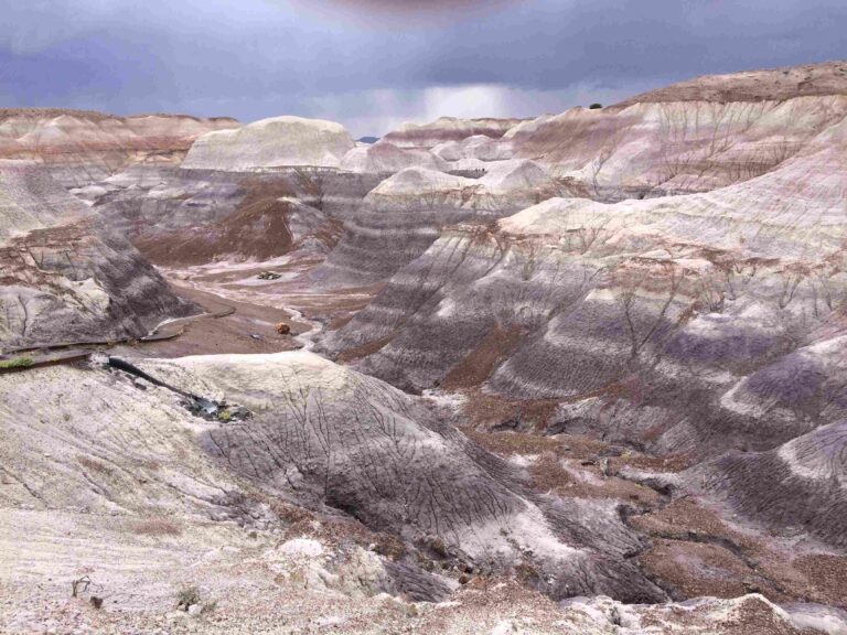 Petrified Forest National Park 2 7