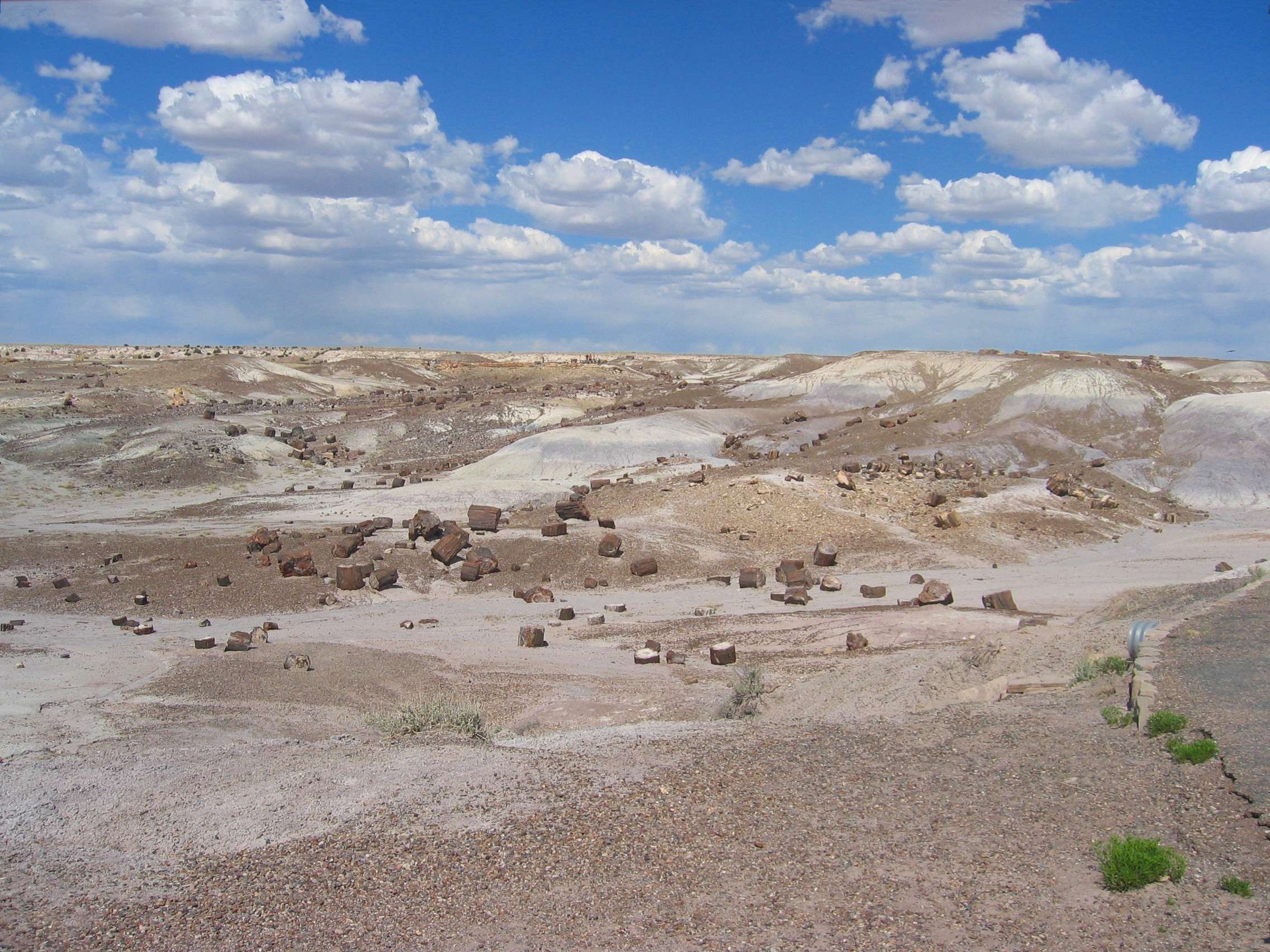 Petrified Forest National Park 28 9