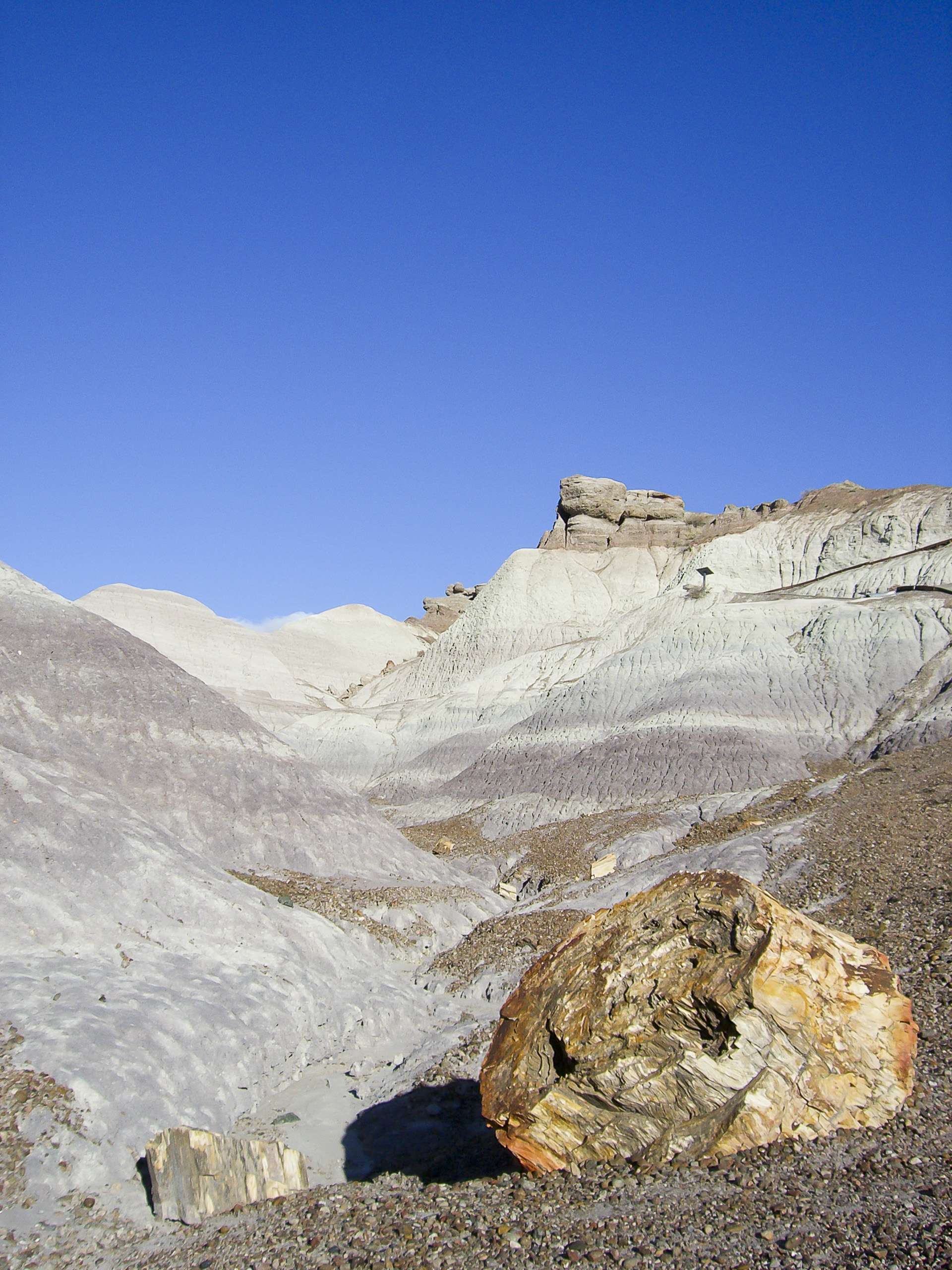 Petrified Forest National Park 3 10