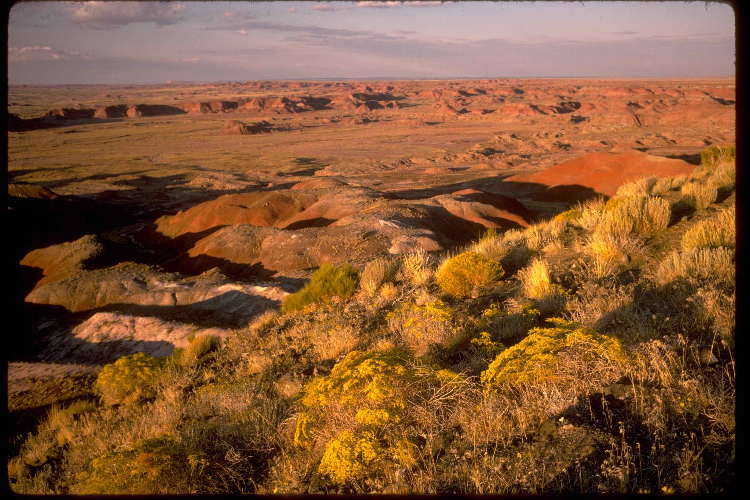 Petrified Forest National Park 30 scaled