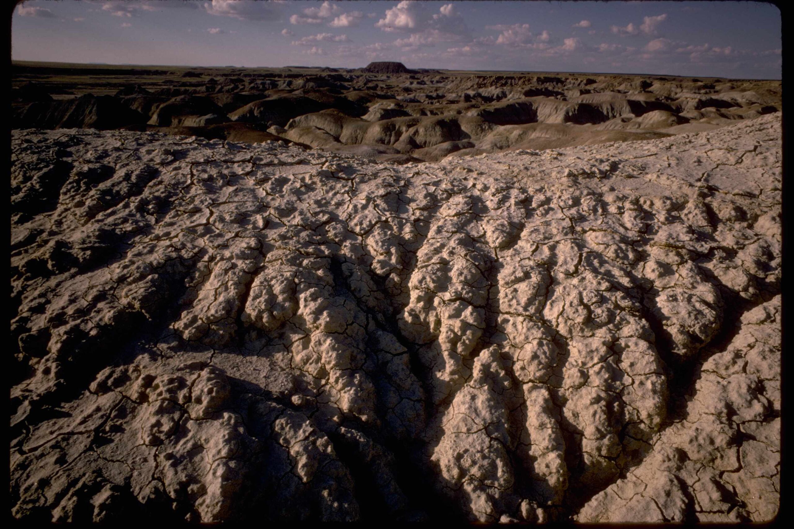 Petrified Forest National Park 31 scaled