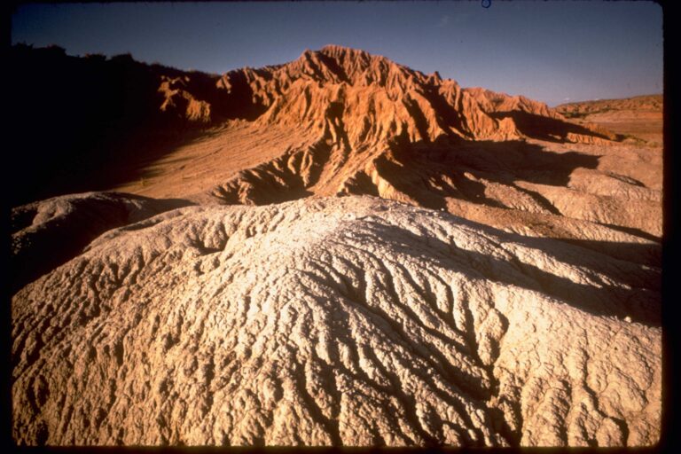 Petrified Forest National Park 32 11