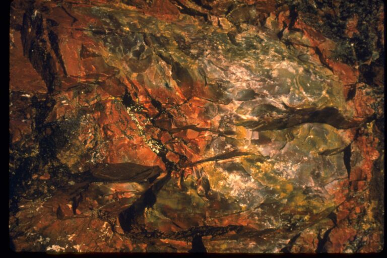 Petrified Forest National Park 34 3