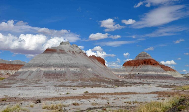 Petrified Forest National Park 40 6