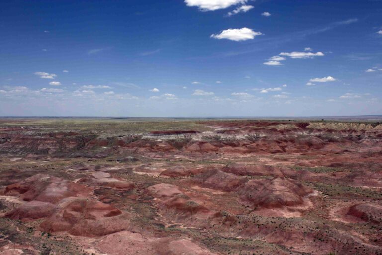 Petrified Forest National Park 8 9